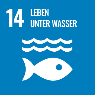 Ziel 14: Leben unter Wasser